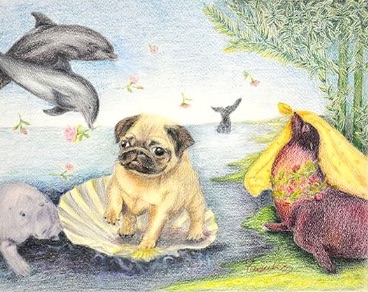 一般クラス/色鉛筆