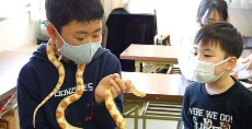 児童画クラス「ヘビの写生」<br>アトリエの名物モデル!