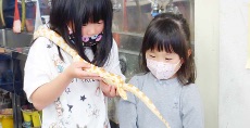 児童画クラス「ヘビの写生」<br>どんな目?どんな模様?
